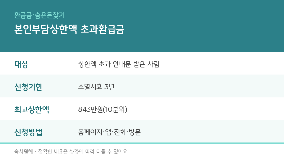 건강보험 본인부담상한액 초과환급금 대상, 신청기한, 상한액, 신청방법을 정리한 인포그래픽