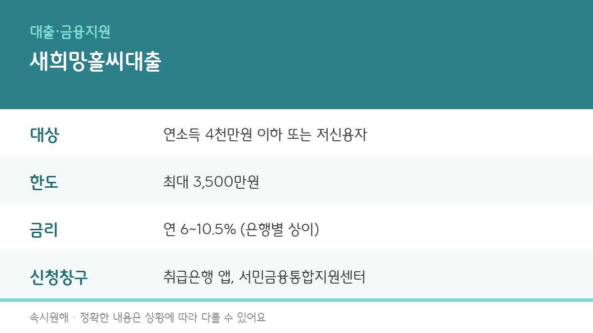 새희망홀씨대출의 대상, 한도, 금리, 신청기관을 정리한 인포그래픽