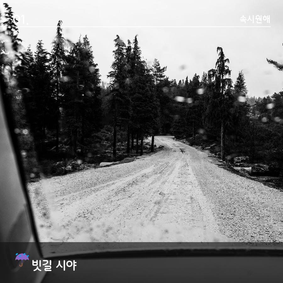 비 오는 날 자동차 앞유리 너머로 보이는 빗길 풍경