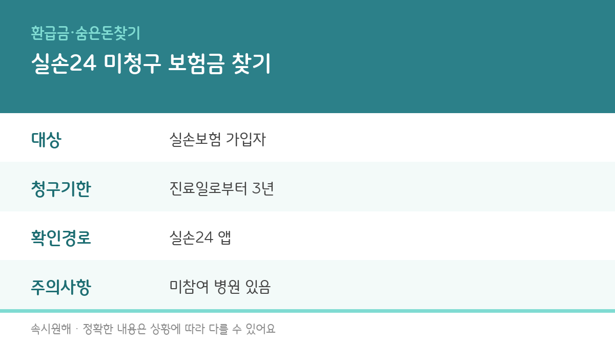 실손24 서비스의 대상, 청구기한, 확인경로, 주의사항을 정리한 인포그래픽